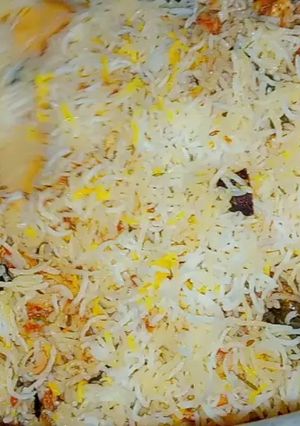A picture of Biryani lite.