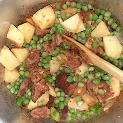 A picture of Mixed beef stew.