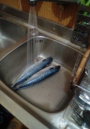 صورة لوصفة سمك ماكريل مشوي