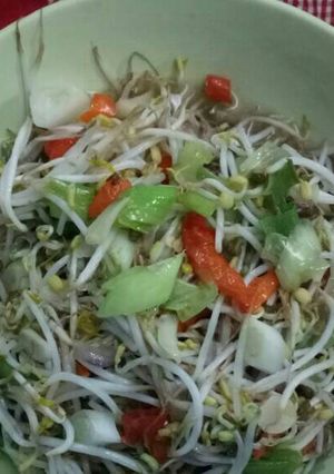 Foto resep Tumis Taoge/Kecambah saos tiram