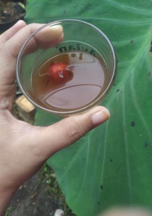 Foto resep Wedang rosella gula aren