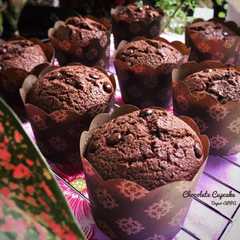 Chocolate Cupcake রেসিপির প্রধান ছবি