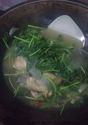 Foto resep Sayur bayam plus ayam berkuah