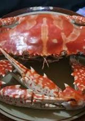 Foto resep Rajungan rebus