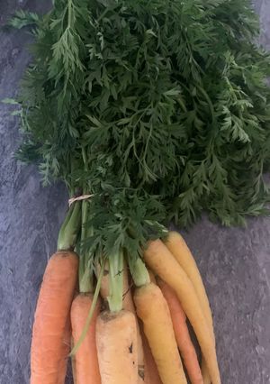 A picture of Carrot top pesto.