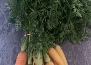 Ready to Serve Carrot top pesto Practical Delicious Ready to Serve Carrot top pesto Practical Delicious