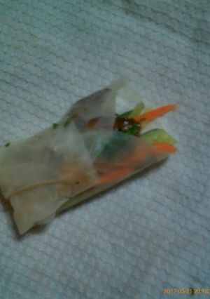 A picture of Rice paper roll with pork.