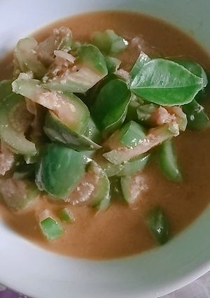 Foto resep Tumis terong hijau