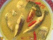 Gambar ikan kakap putih