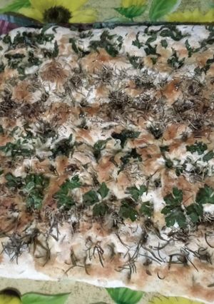 Une photo de Foccacia aux herbes et graines 🇮🇹🇮🇹