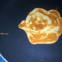 A picture of Pancake 🥞.