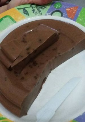 Foto resep Puding apa hayo?