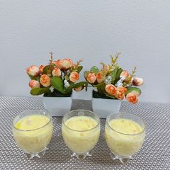 A picture of Mango custard.