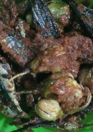 Foto resep Sambal terong dan ikan asap