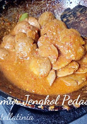 Foto resep Semur jengkol pedas