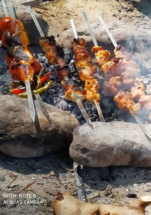 عکسی از دستور جوجه کباب
