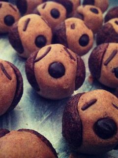 Foto resep Milo Dog Cookies