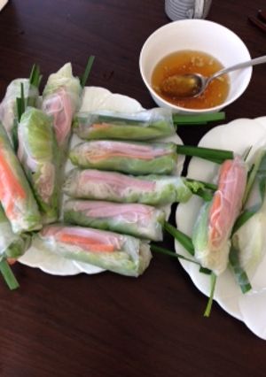 A picture of Vietnam spring rolls.