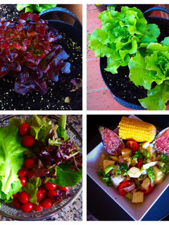 Una foto de Ensalada huerto urbano