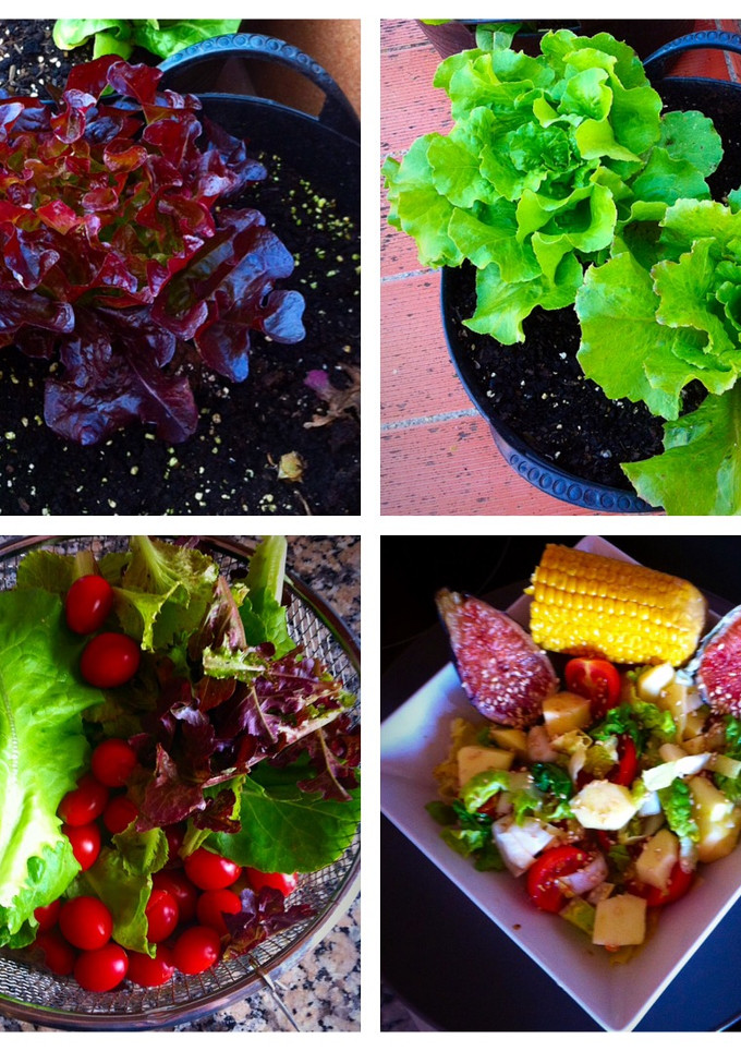 Una foto de Ensalada huerto urbano