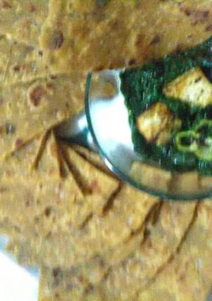 A picture of Palak paneer or makkai ki roti.