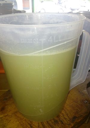 Una foto de Agua de anís natural a la Mario, s