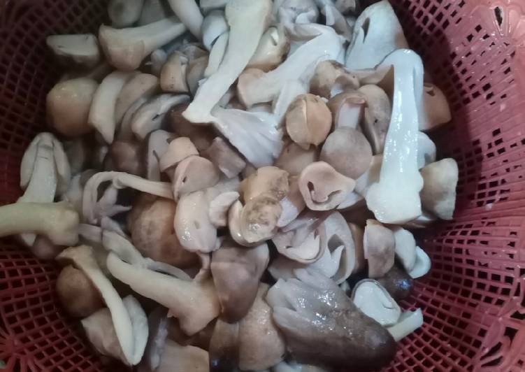 Resep Jamur Sawit Cara Mengolah Anti Gagal