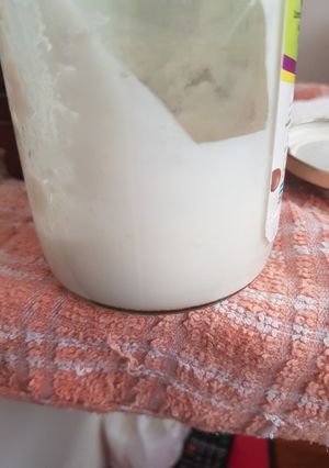 Una foto de Queso crema casero tipo casancrem