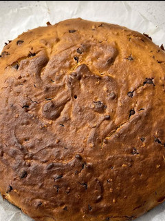 Foto di Torta alle nocciole e gocce di cioccolato fondente