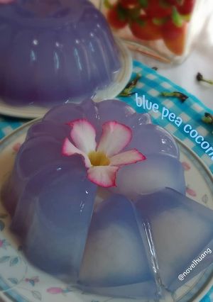 Foto resep Blue pea coconut pudding (pudding bunga telang kelapa muda)