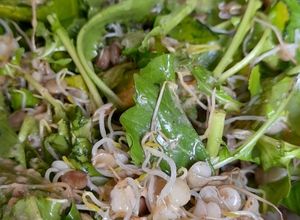 Una foto de Ensalada de brotes de Lentejas y Rúcula