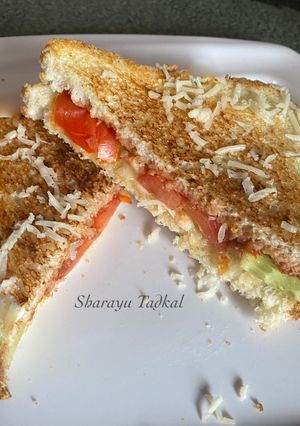 A picture of Salsa Veg Sandwich.
