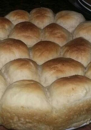 صورة لوصفة خلية النحل