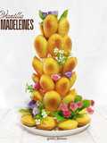 Vanilla Madeleines
