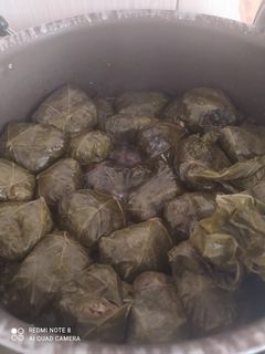 عکسی از دستور دلمه برگ