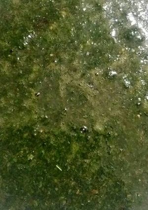 صورة لوصفة الملوخيه المصرى