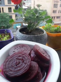 عکسی از دستور لبو