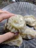 Dumplings/gyozas de res