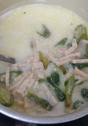 Foto resep Sayur santan tempe cabe ijo