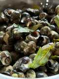 Bigorneaux parfumés à la verveine citronnelle