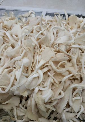Foto resep Tepung crispy all in one