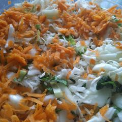 A picture of Vegetable Salad.