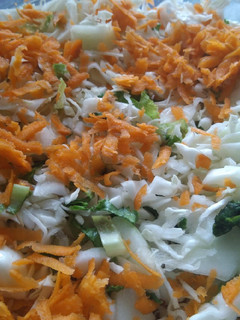 A picture of Vegetable Salad.