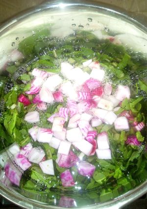 عکسی از دستور شولی یزدی