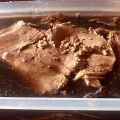 A picture of Salsa inglesa o Worcestershire.