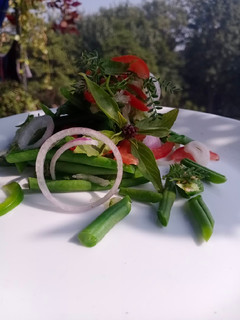 A picture of French Beans Salad.