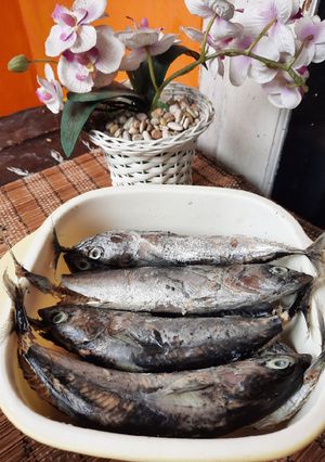 Foto resep Ikan Pindang Tongkol