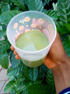 A picture of Fluted pumpkin leaves drink (Ugu drink).