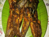 Lele goreng kriuukkk...
