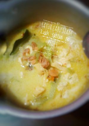 Foto resep Labu siam kuah santan buat anak kecil gak pedes blass😊